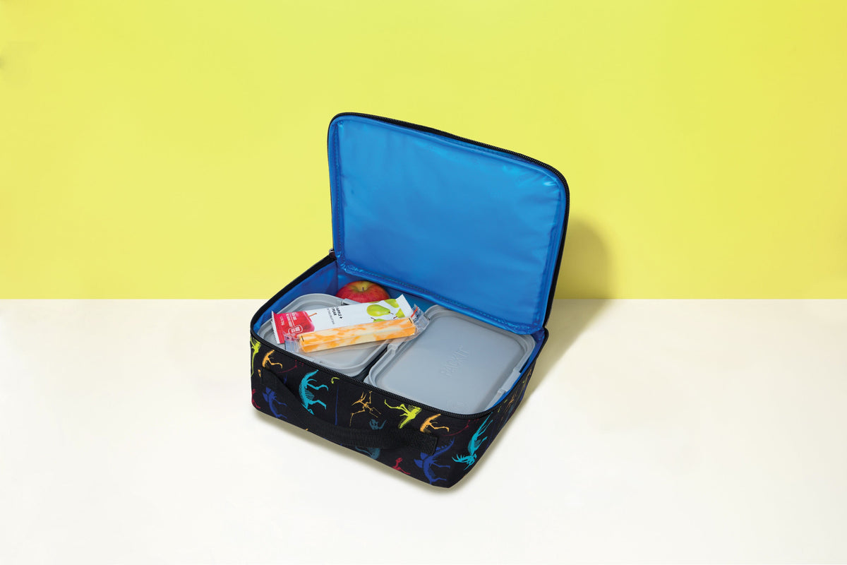freezable-lunch-box-limited-edition-d0 2022_Lifestyle_Lunch-Box_Dino_Fossils2_Hires.jpg