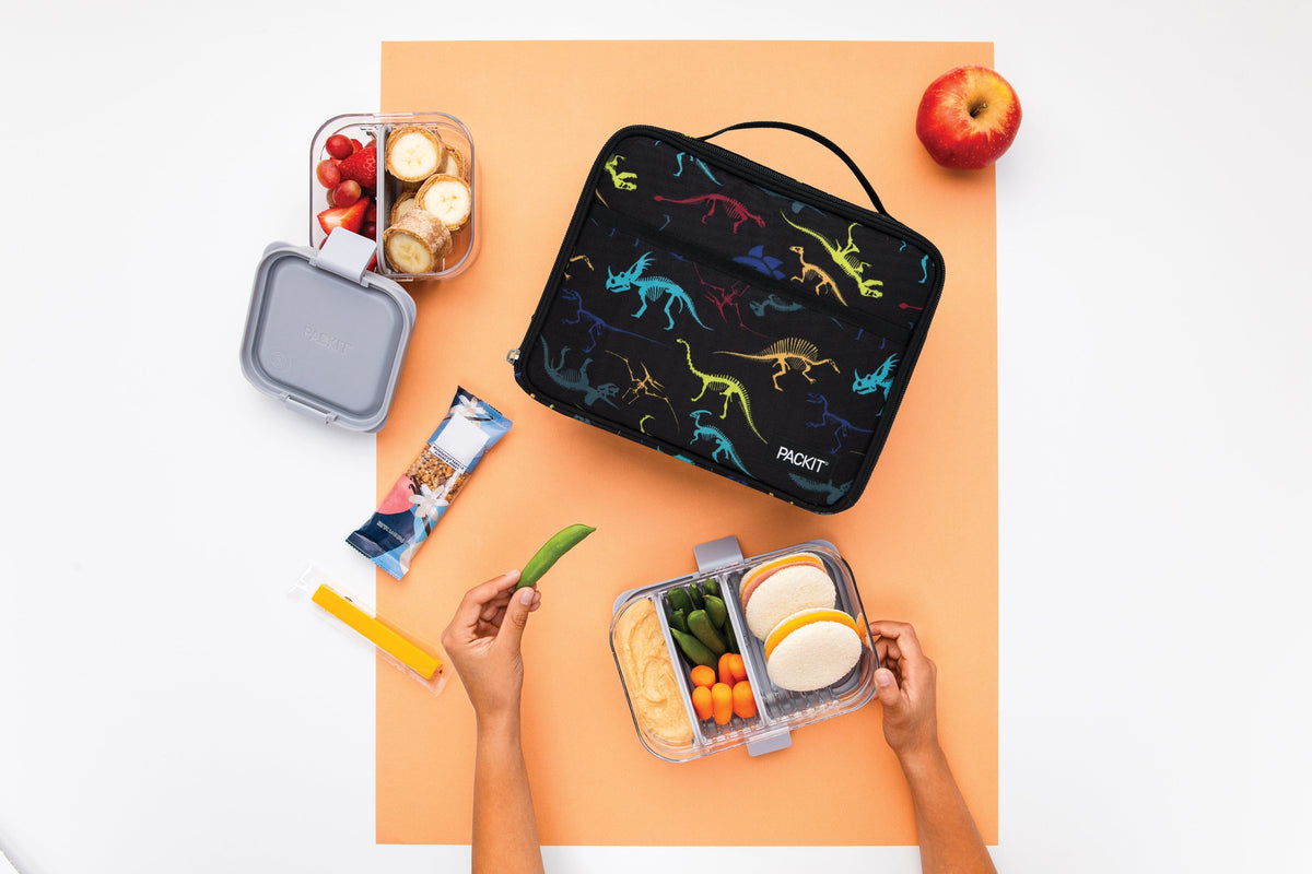 freezable-lunch-box-limited-edition-d0 2022_Lifestyle_Lunch-Box_Dino_Fossils_Hires.jpg
